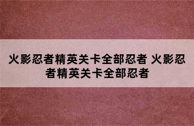 火影忍者精英关卡全部忍者 火影忍者精英关卡全部忍者